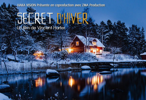 Affiche-film-Secret-d-hiver