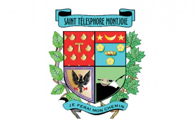 LE RAMONAGE DE CHEMINÉE – Municipalité de Saint-Télesphore