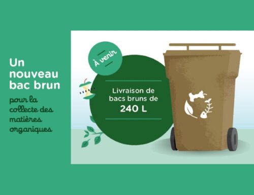 Un nouveau bac brun – Livraison de bacs bruns 240 L