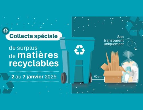 Collecte spéciale de surplus de matières recyclables – 6 janvier 2025