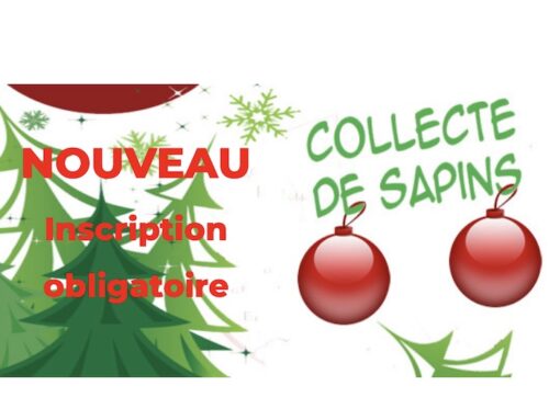 Collecte de sapins – Semaine du 12 au 16 janvier 2026 – Inscription obligatoire