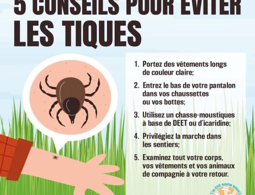 5 Conseils pour éviter les tiques
